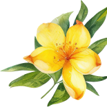 img_flower