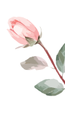 img_flower