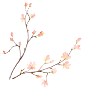 img_flower